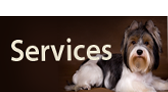 Services